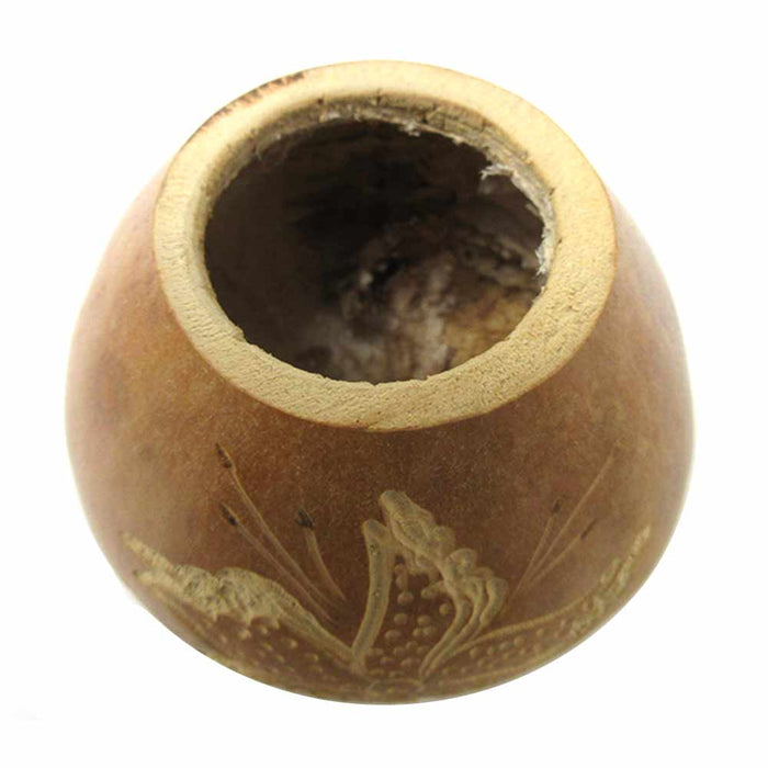The Argentino Yerba Mate Cup Mate Gourd with Bombilla Mate Set Straw Mate  Tea Cup Calabaza Drinking Gourd Mate kit